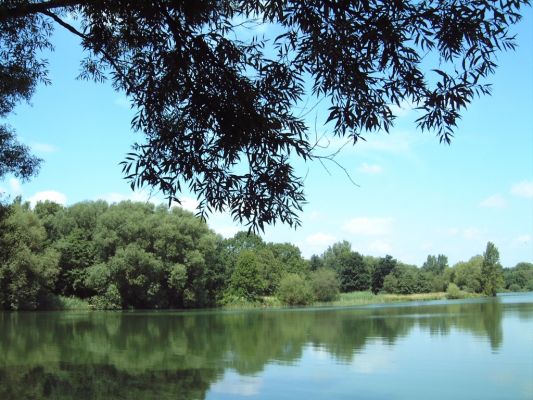 Sommerliche Stimmung am SÃ¼dsee
