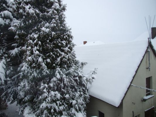 Schnee auf den DÃ¤chern, Januar 2010
