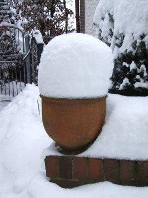 Starker Schneefall Januar 2010

