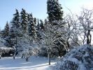 Dateiname=xdscf0240.jpg
Dateigröße=251KB
Abmessungen: 1024x768
hinzugefügt am: 06. Januar 2010 xdscf0240.jpg