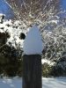 Dateiname=xdscf0250.jpg
Dateigröße=129KB
Abmessungen: 576x768
hinzugefügt am: 06. Januar 2010 xdscf0250.jpg
