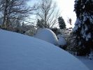 Dateiname=xdscf0265.jpg
Dateigröße=167KB
Abmessungen: 1024x768
hinzugefügt am: 06. Januar 2010 xdscf0265.jpg