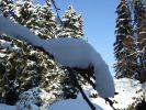Dateiname=xdscf0275.jpg
Dateigröße=211KB
Abmessungen: 1024x768
hinzugefügt am: 06. Januar 2010 xdscf0275.jpg