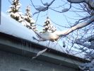 Dateiname=xdscf0324.jpg
Dateigröße=150KB
Abmessungen: 1024x768
hinzugefügt am: 06. Januar 2010 xdscf0324.jpg