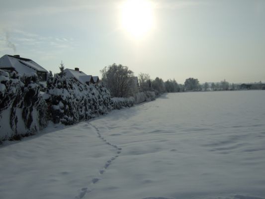 Winterlandschaft
