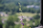 Sta_2019_06_2512_16_137662.JPG
