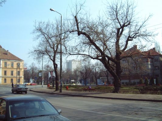StraÃŸe in Timisoara
Im Hintergrund ist das Hotel zu sehen
