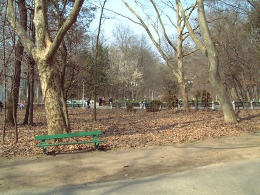 Park in der NÃ¤he Timisoaras
