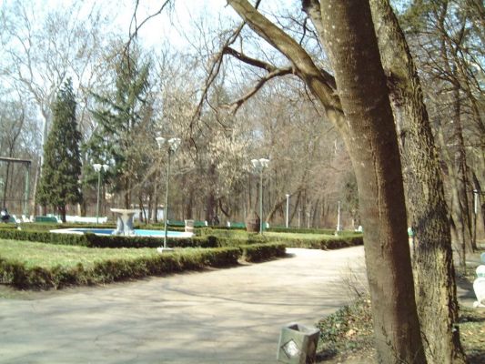 Park in der NÃ¤he Timisoaras
